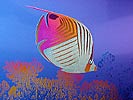 Titanium Tropical Fish Print detail