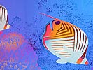 Titanium Tropical Fish Print detail