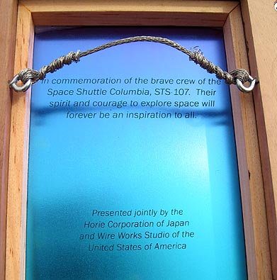 Titanium Plaque Detail 3